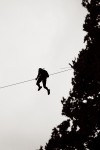 Adrenalin Challenge Race 2020
